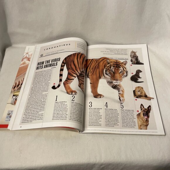 National Geographic October 2020 Reimagining Dinosaurs Tragedy of Human Traffick - Picture 5 of 10